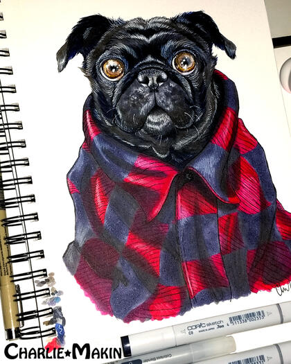 Black Pug (traditional-COPIC Sketch) ©CharlieMakin