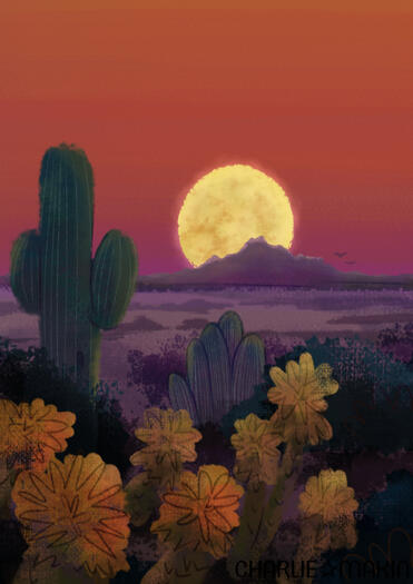 Desert Sunset (digital) ©CharlieMakin